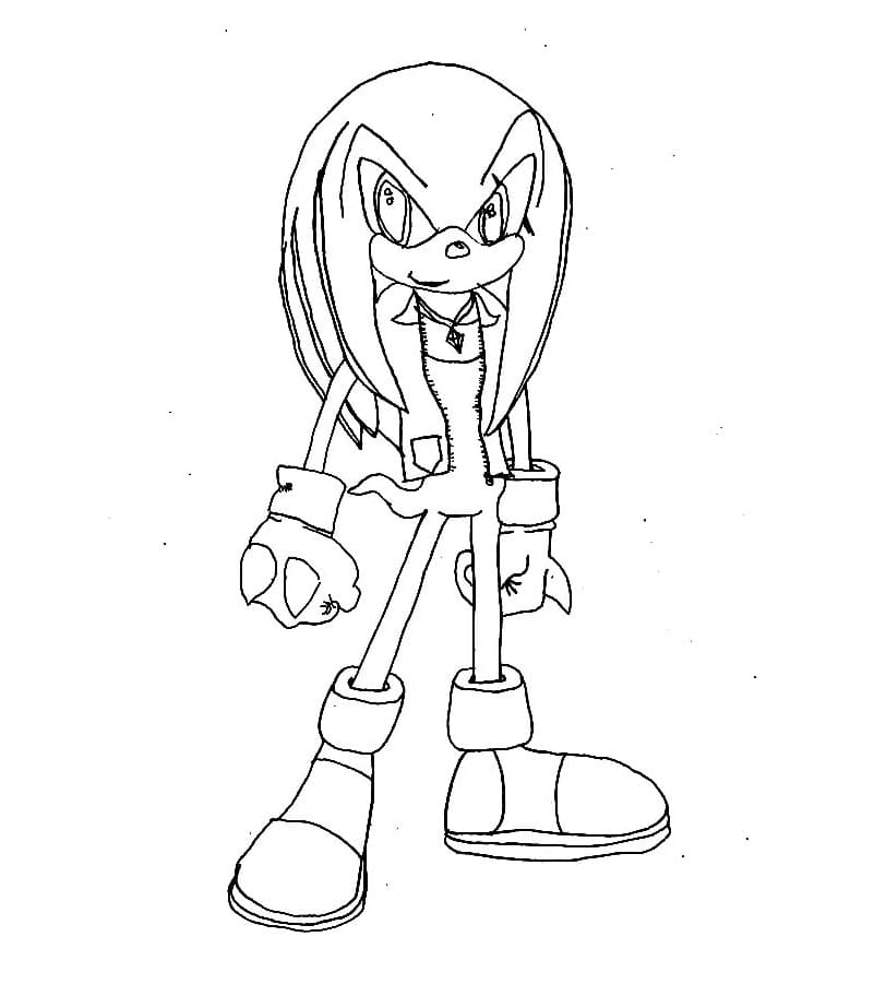 Funny Knuckles The Echidna