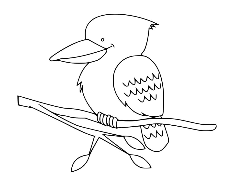 Funny Kookaburra