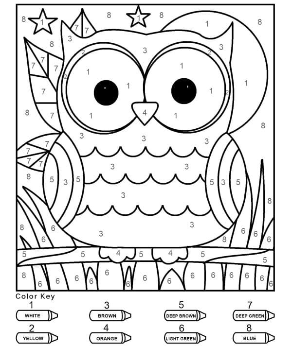 Funny Owl Color by Number
