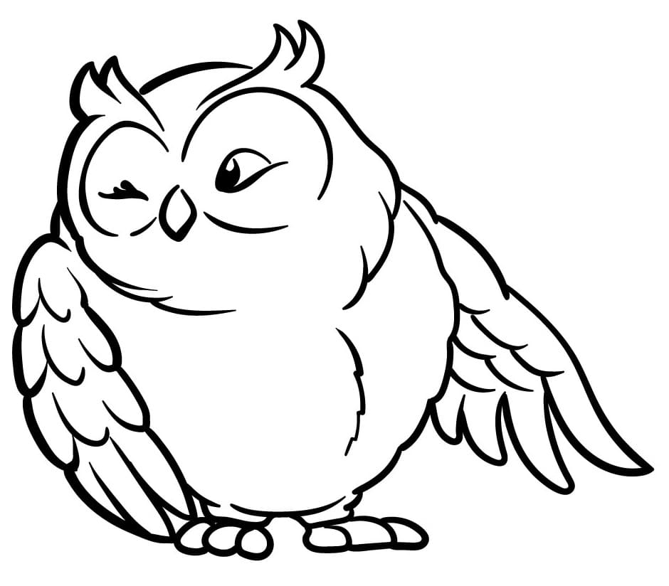 funny owl drawing