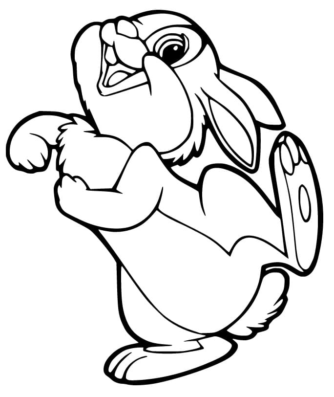 Funny Thumper