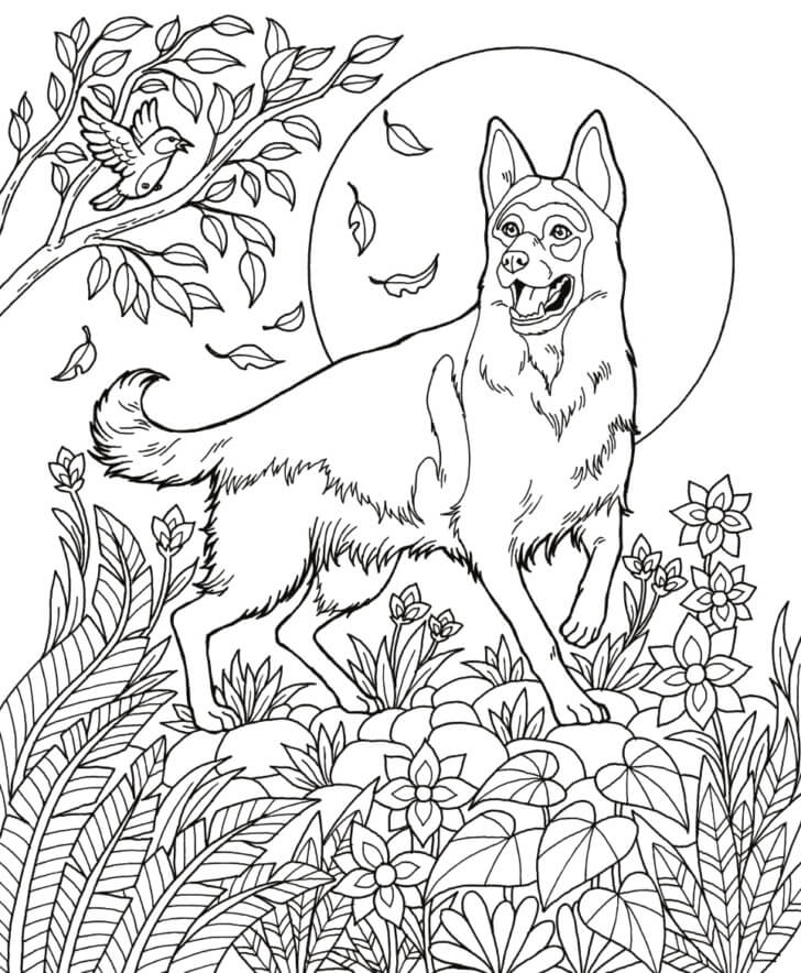 german-shepherd-7-coloring-page-free-printable-coloring-pages-for-kids