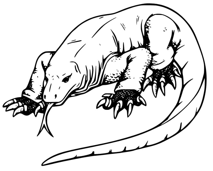 Giant Komodo Dragon Coloring Page - Free Printable Coloring Pages for Kids