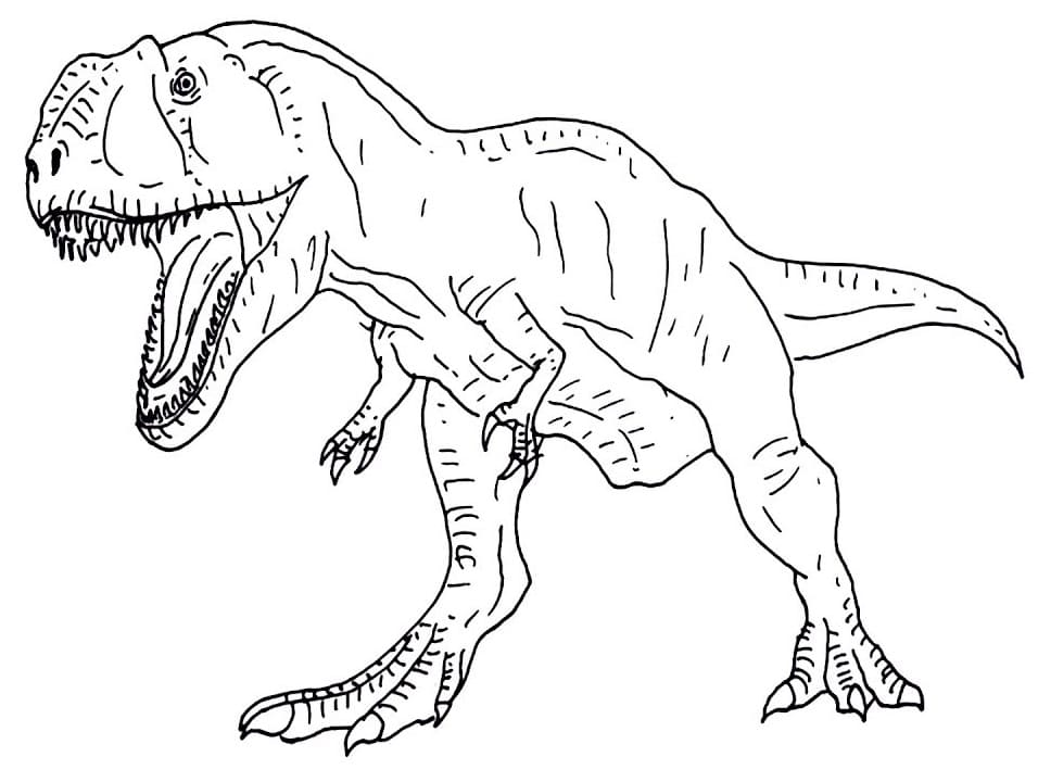 Simple Giganotosaurus Coloring Page - Free Printable Coloring Pages for ...