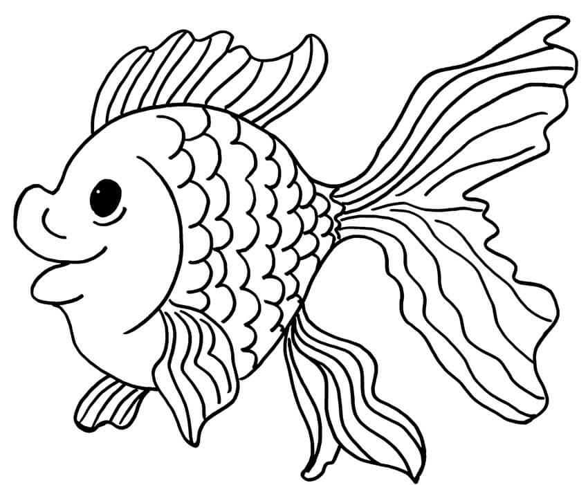 Goldfish 3