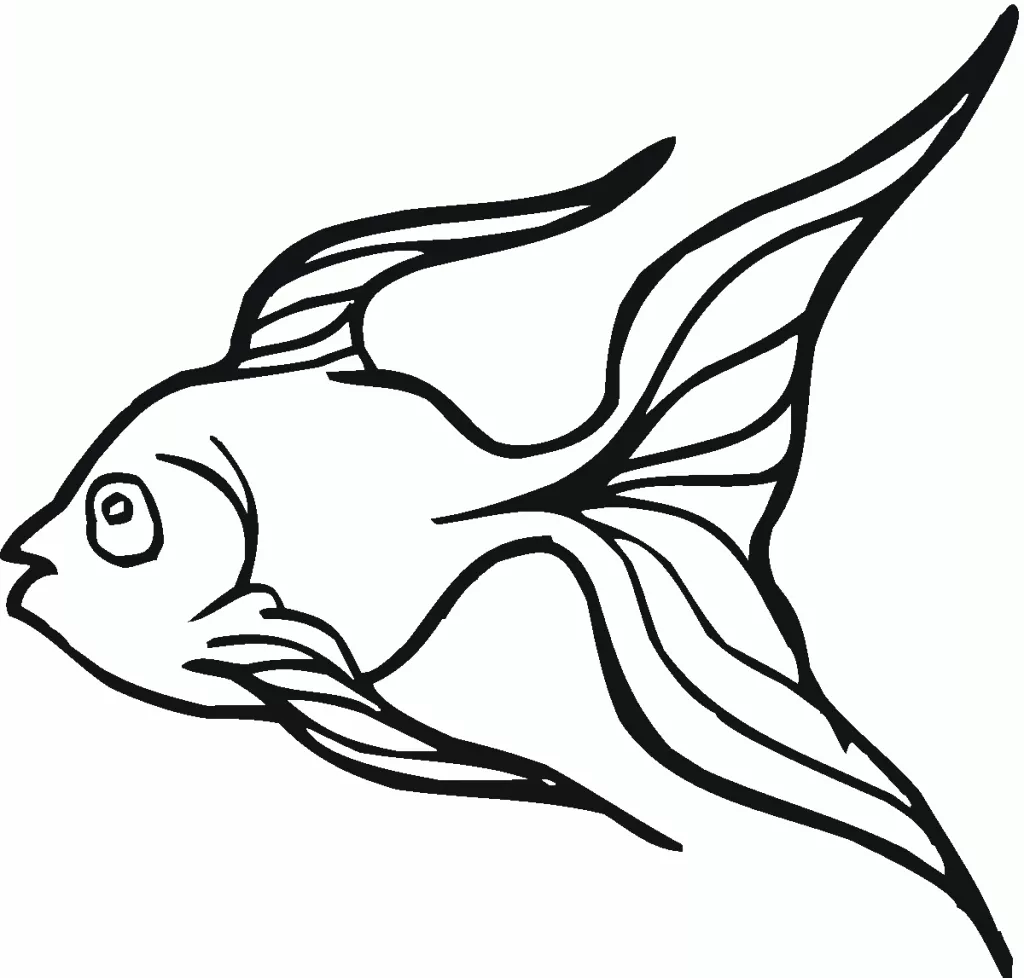 Goldfish 4
