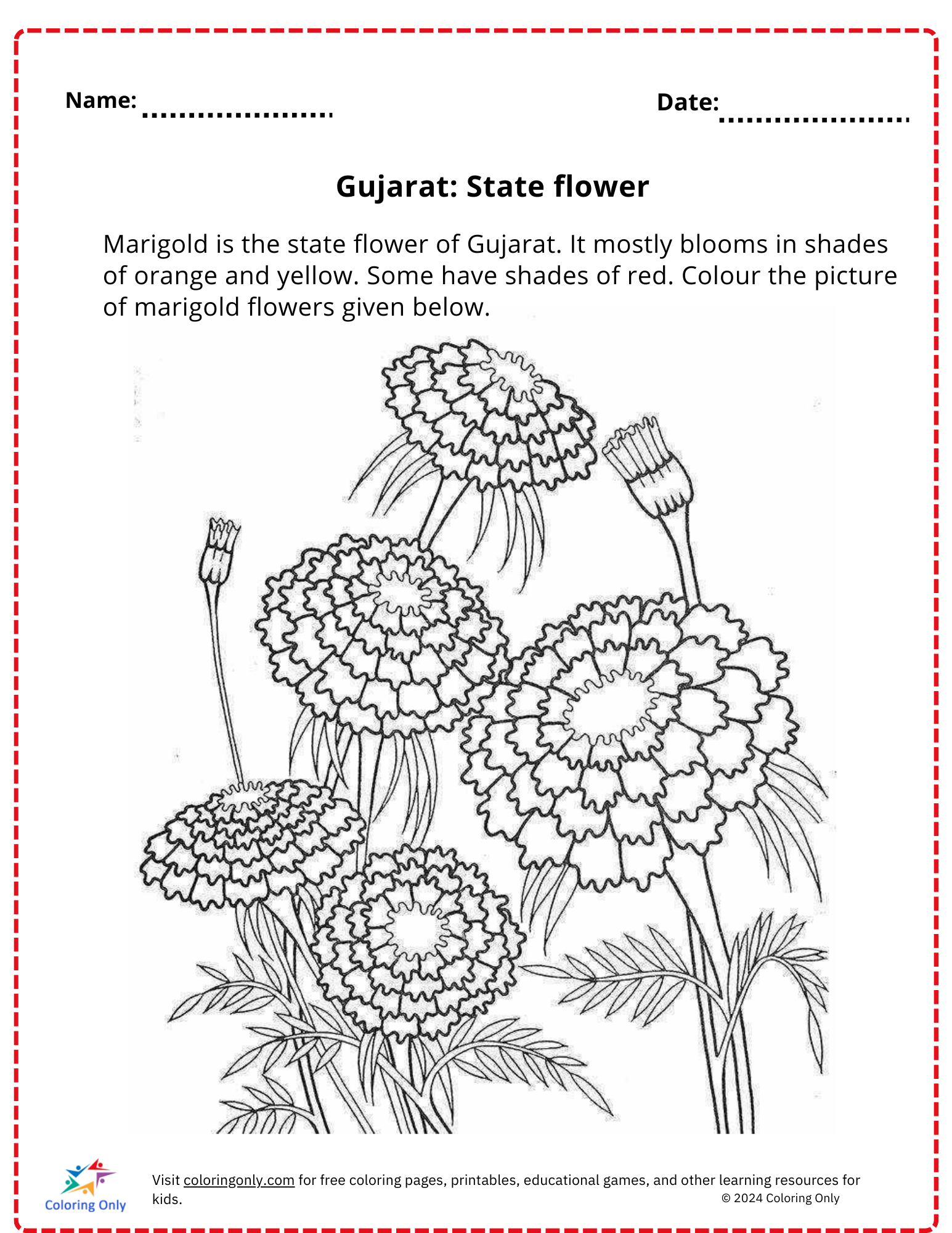 Gujarat: State flower free Printable Worksheet