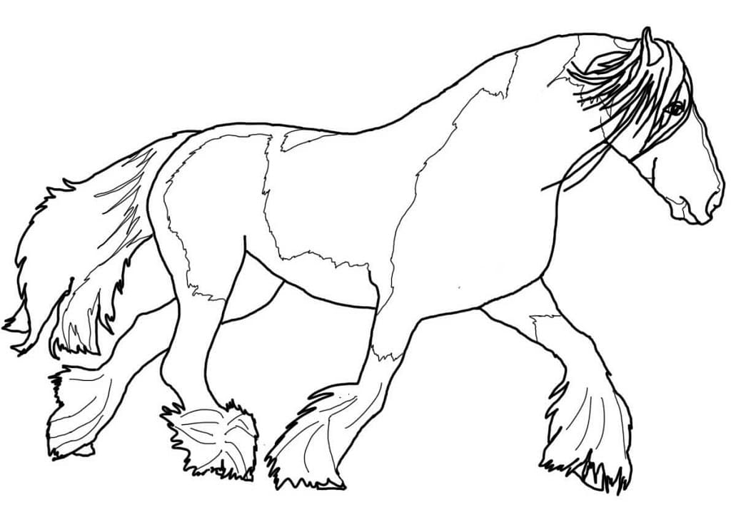 Kiger Mustang Horse Coloring Page - Free Printable Coloring Pages for Kids
