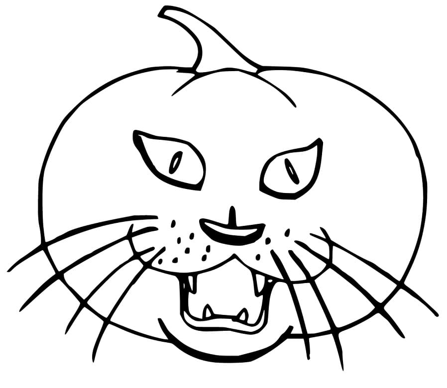Halloween Cat Head