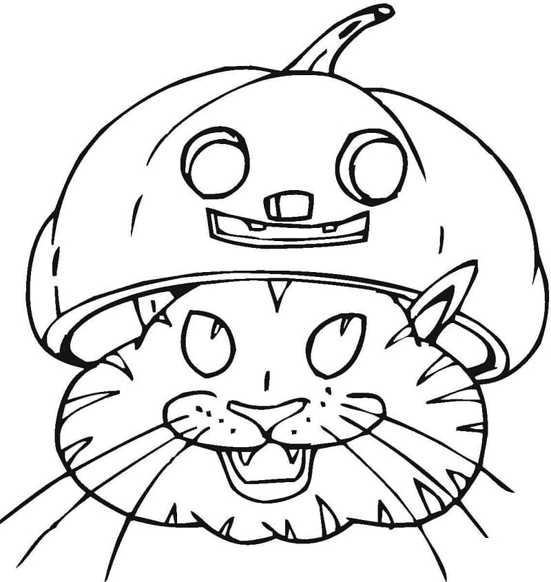 Halloween Cat with Pumpkin Hat
