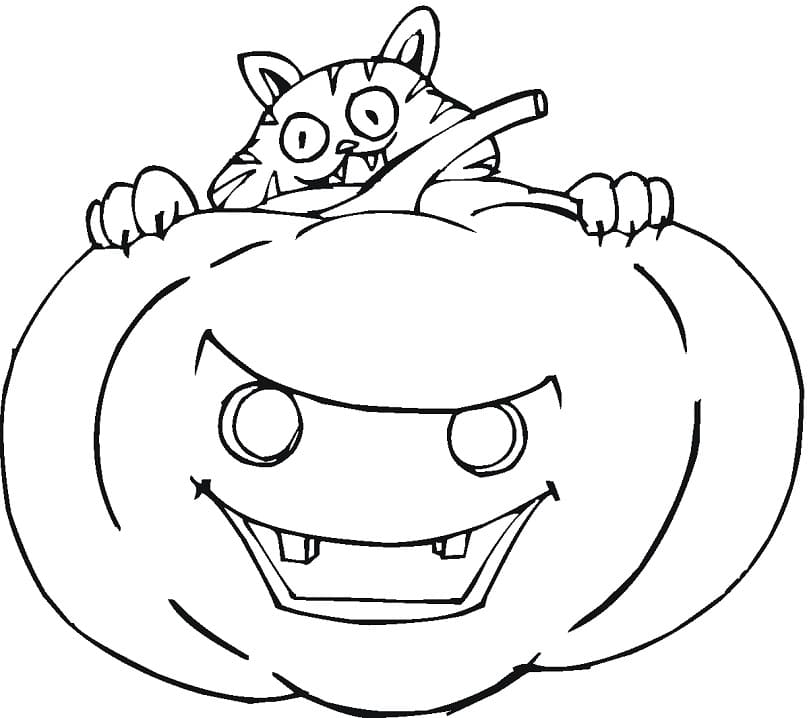 Halloween Crazy Cat and Pumpkin