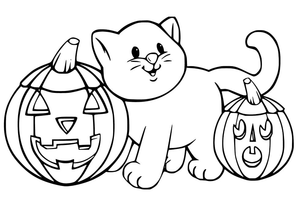Hallween Cat and Pumpkins