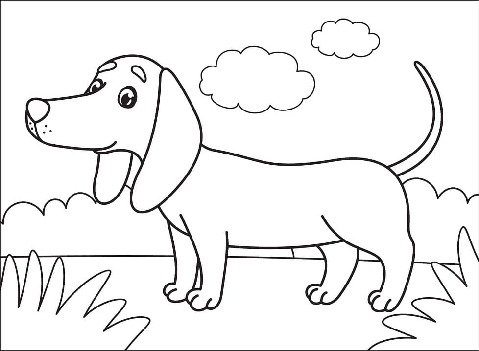 Happy Dachshund Coloring Page Free Printable Coloring Pages for Kids