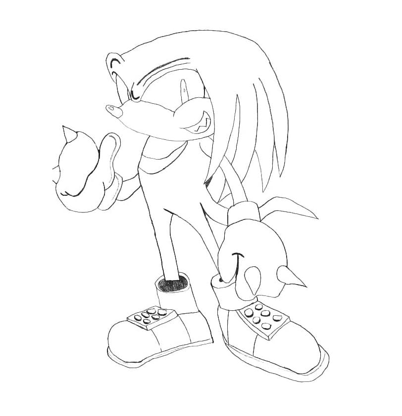 Happy Knuckles The Echidna
