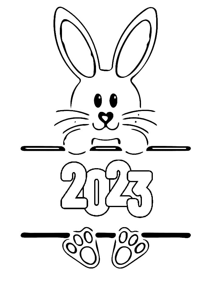 Happy New Year 2023 with Rabbit