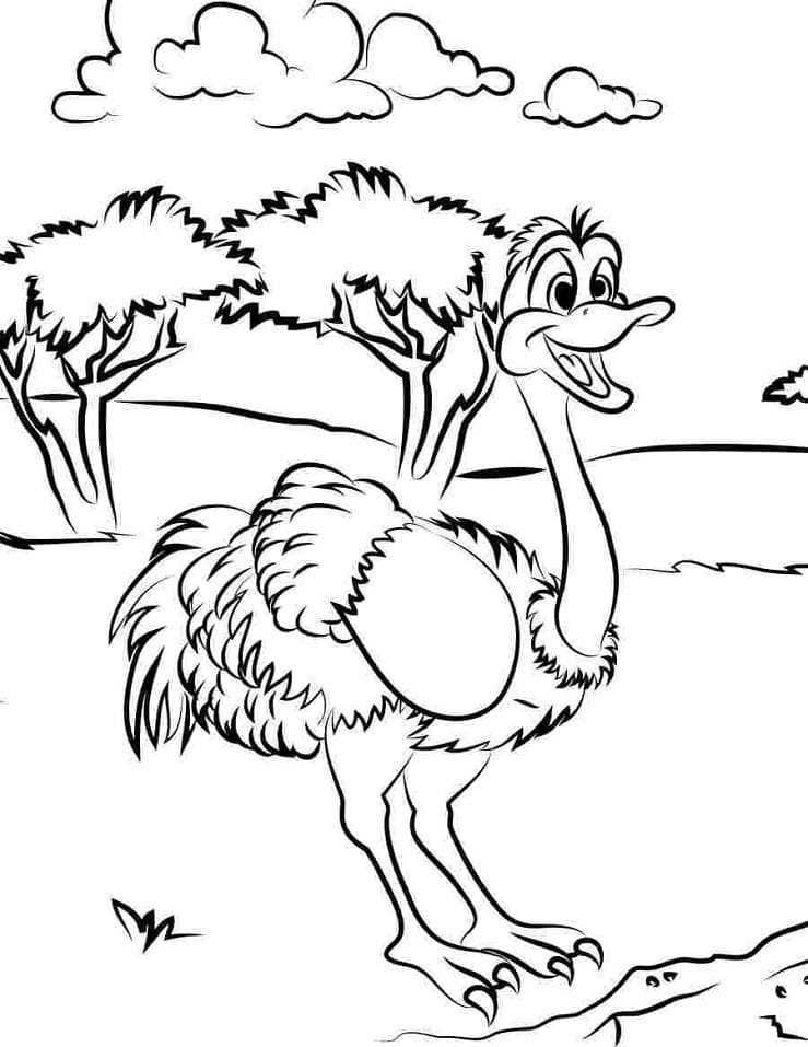 Ostrich Coloring Pages - Free Printable Coloring Pages for Kids