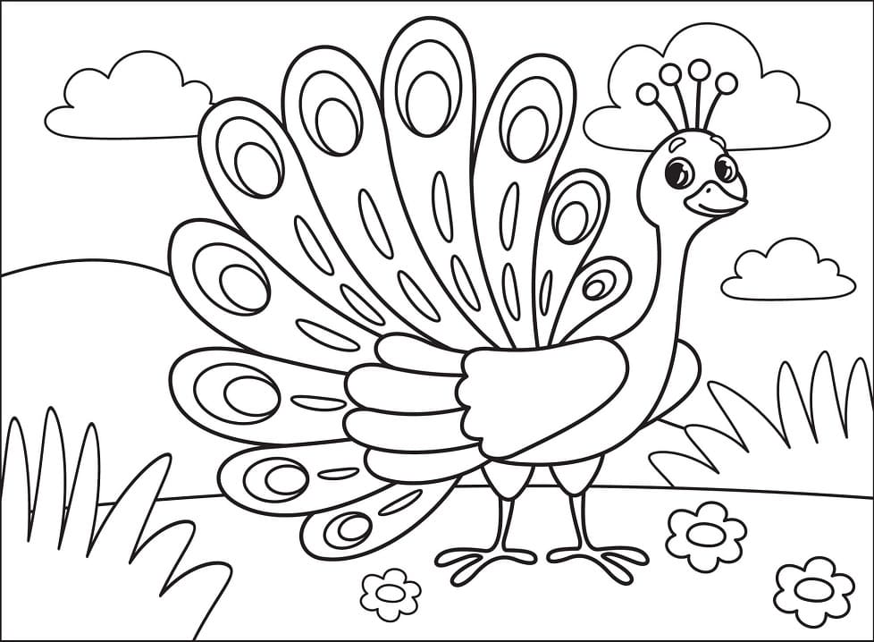 Printable Cartoon Peacock Coloring Page - Free Printable Coloring Pages for  Kids