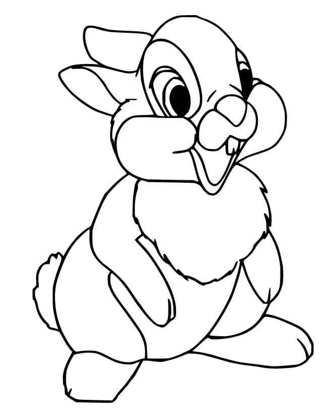 Happy Thumper Rabbit