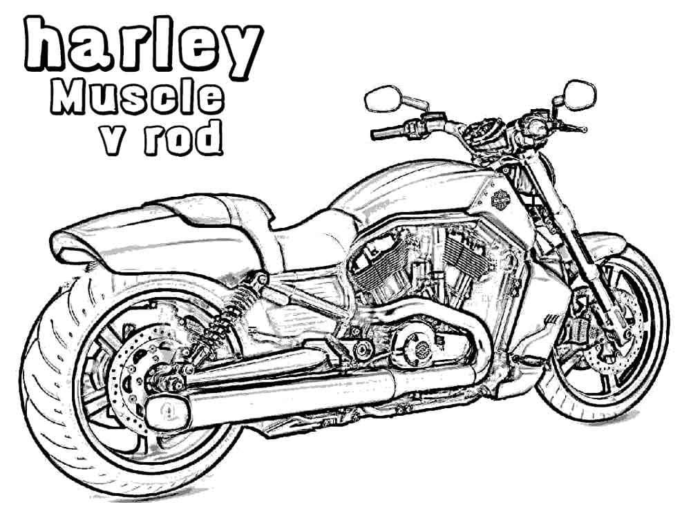 Harley Davidson to Print