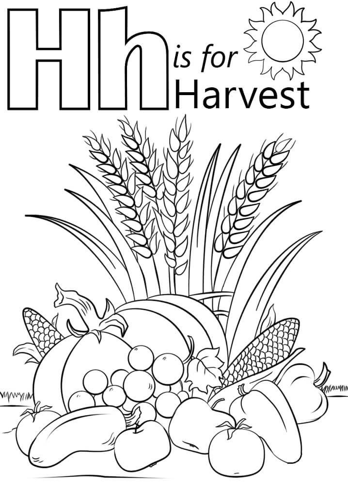 Harvest Letter H
