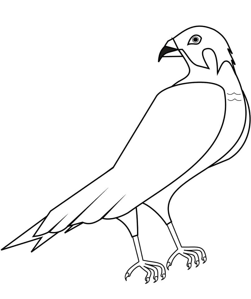 Cartoon Hawk Coloring Page - Free Printable Coloring Pages for Kids
