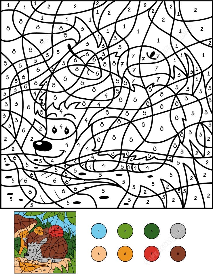 Hedgehog Color by Number
