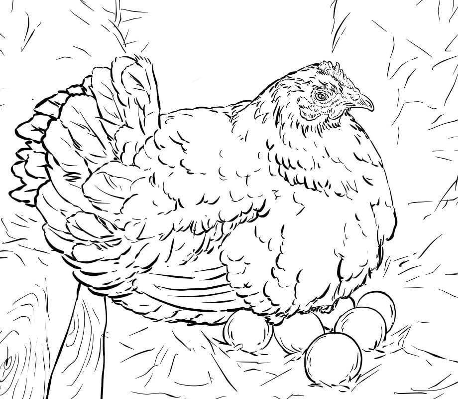 Big Fat Hen Coloring Page - Free Printable Coloring Pages for Kids