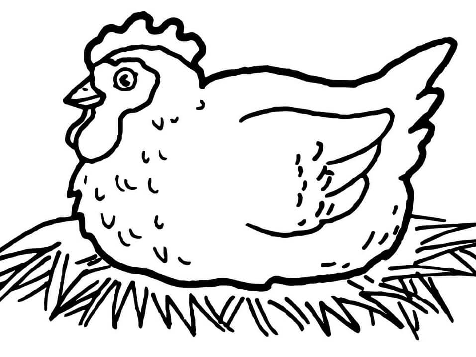 Hen Laying Eggs Coloring Page - Free Printable Coloring Pages for Kids