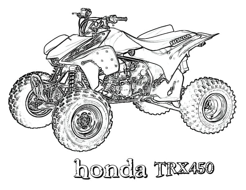 Honda TRX450 ATV Quad