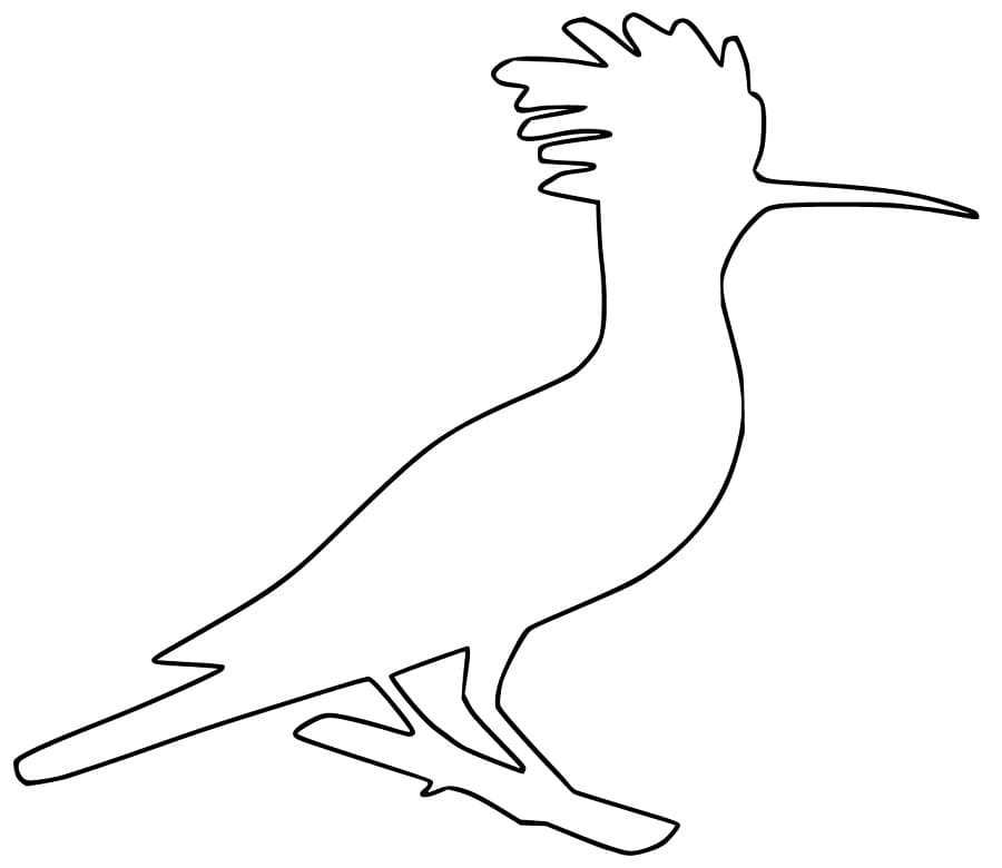 African Hoopoe Coloring Page Free Printable Coloring Pages For Kids