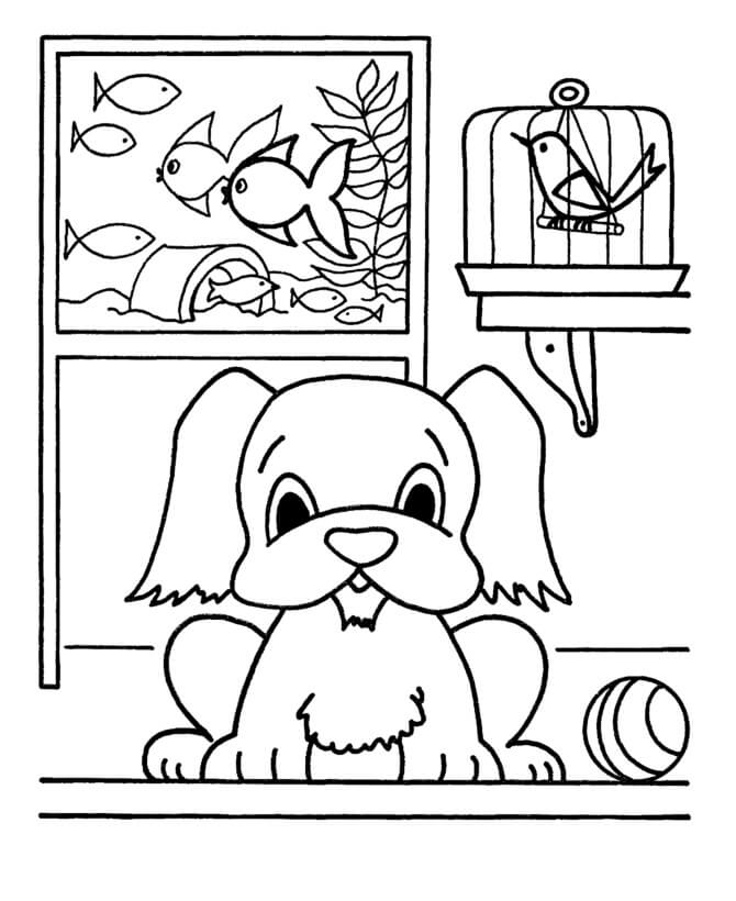 House Pets Coloring Page - Free Printable Coloring Pages for Kids