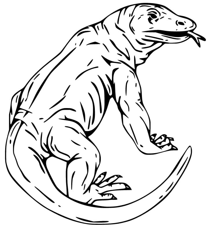 Komodo Dragon 4 Coloring Page - Free Printable Coloring Pages for Kids