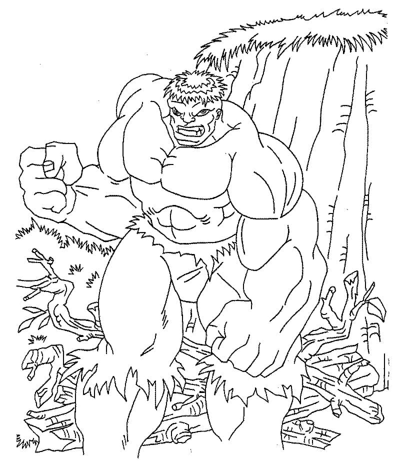 Hulk in the Forest