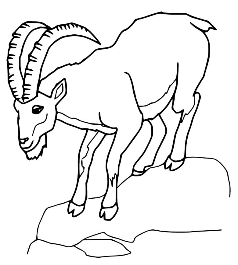 Ibex Coloring Pages - Free Printable Coloring Pages for Kids