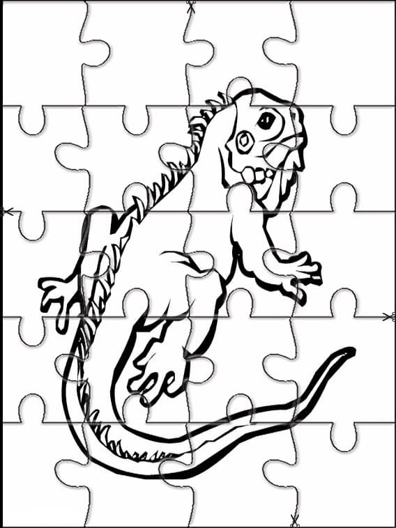 Iguana Jigsaw Puzzle