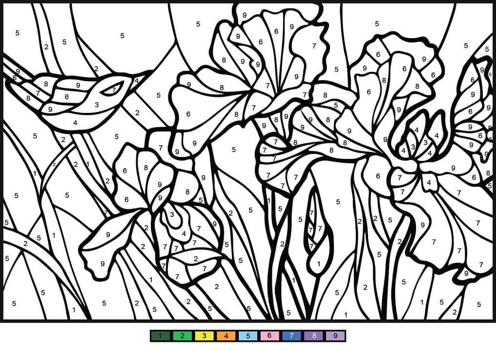 color by number free printable coloring pages for kids