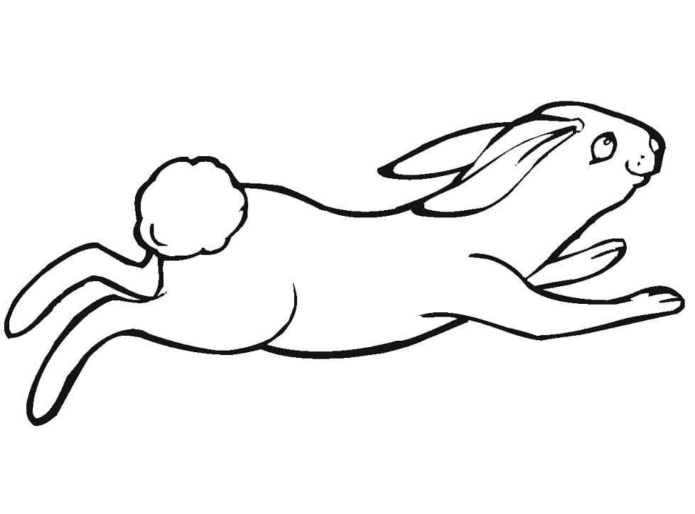 jumping rabbit color by number coloring page Jumping rabbit coloring page