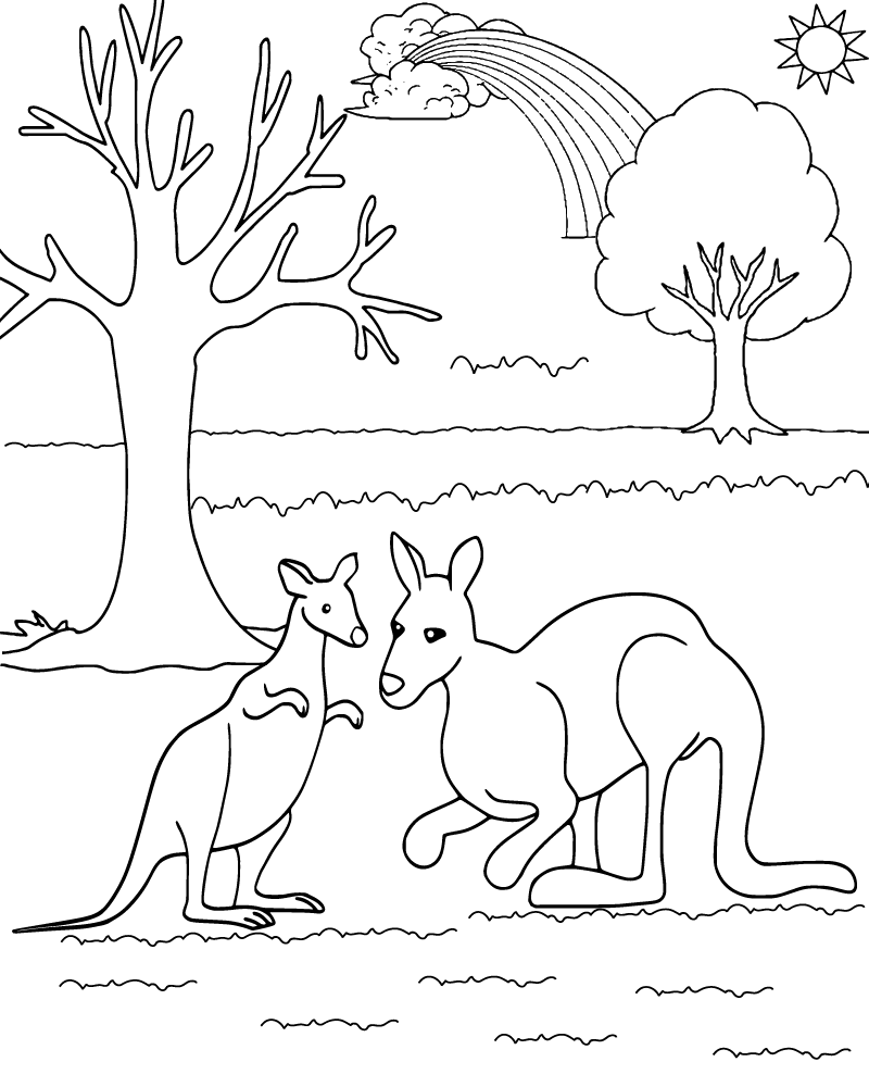 Kangaroo coloring page-08 - Coloring Pages