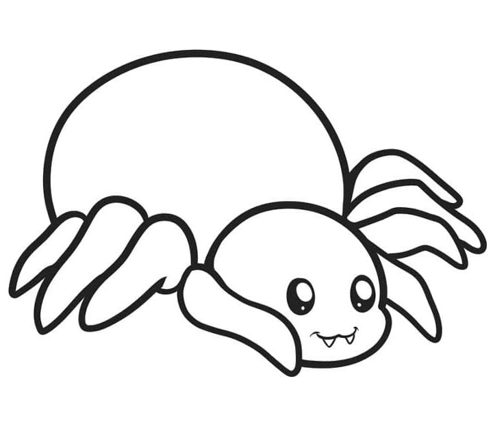 Kawaii Spider