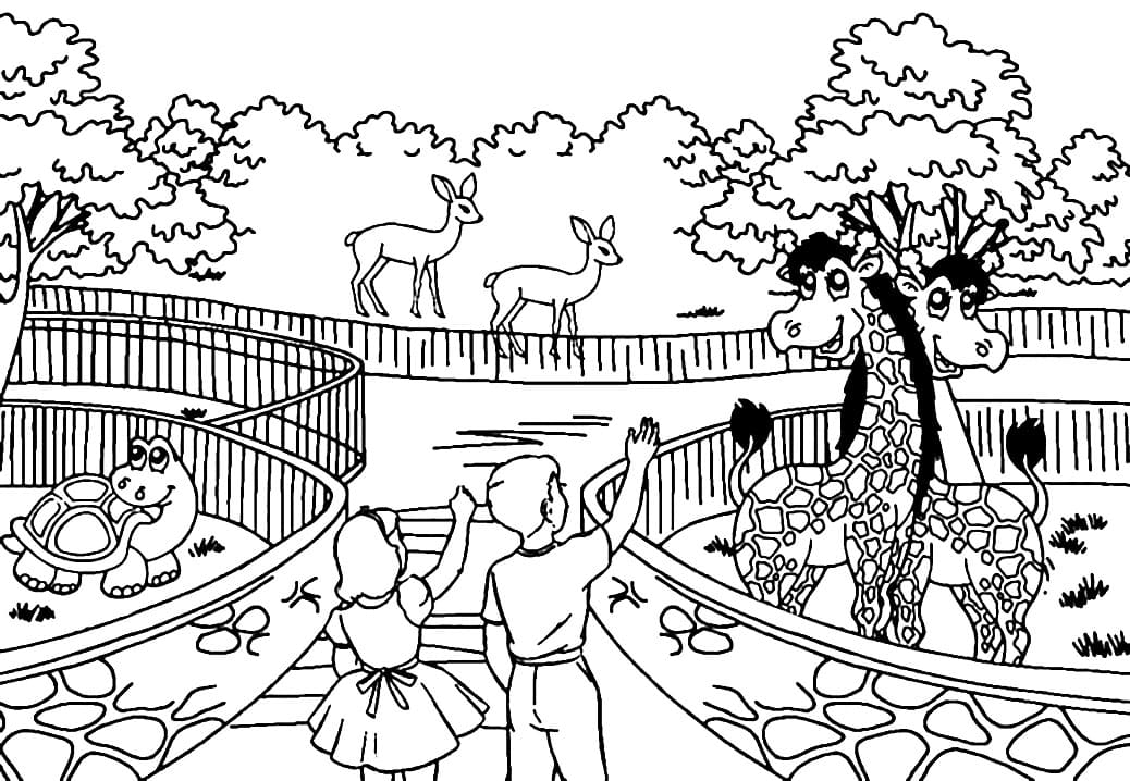 printable coloring pages of zoo animal