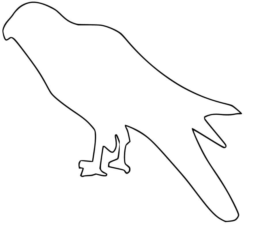 Kite Bird Outline