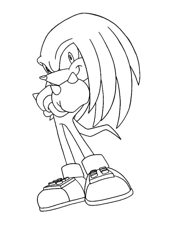 Knuckles The Echidna Smiling