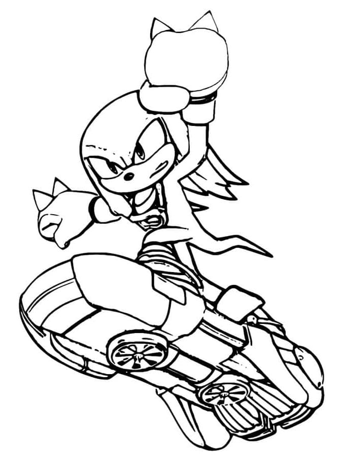 Knuckles The Echidna on Board