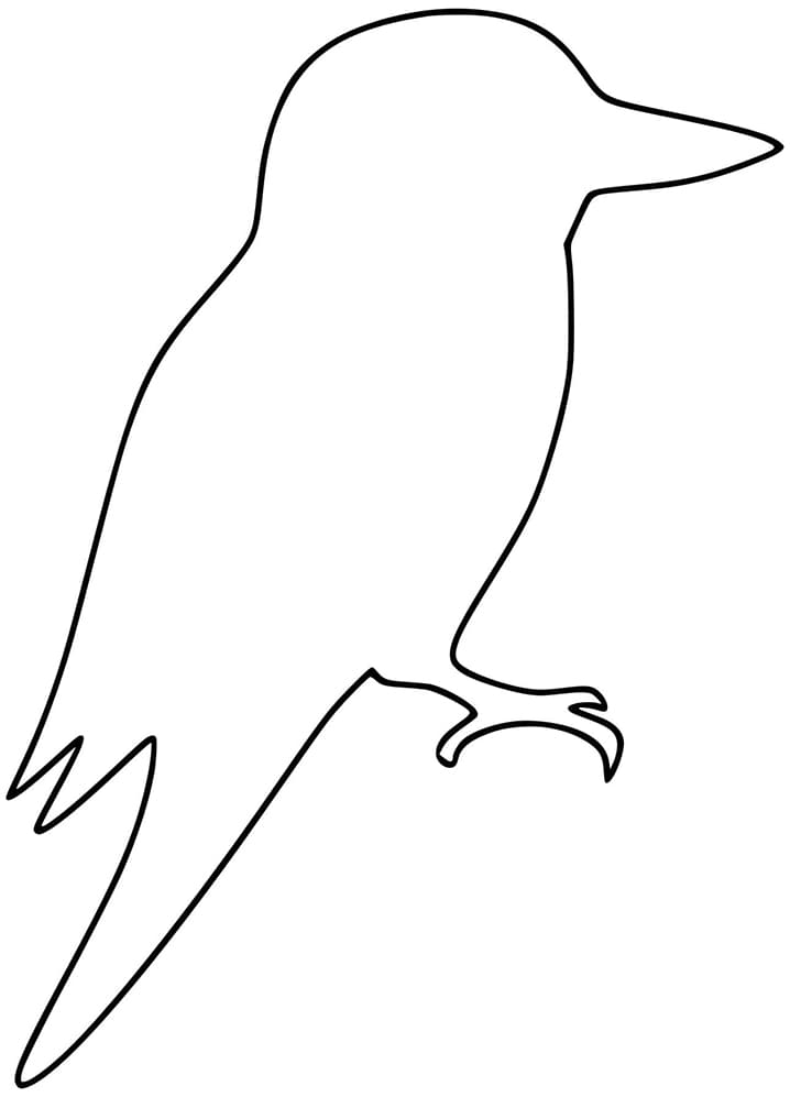 Kookaburra Outline