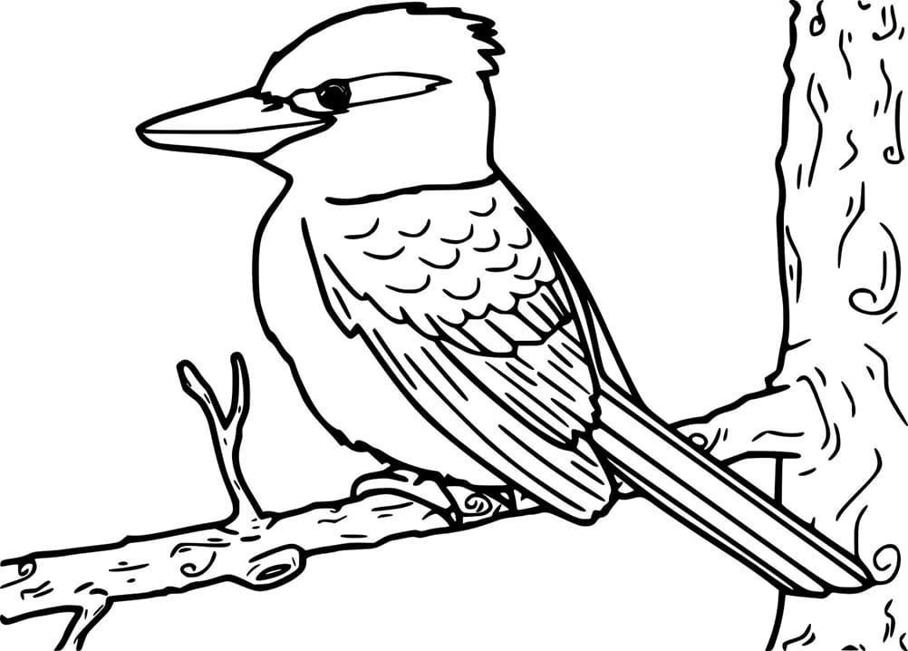 Kookaburra Printable Coloring Page - Free Printable Coloring Pages for Kids
