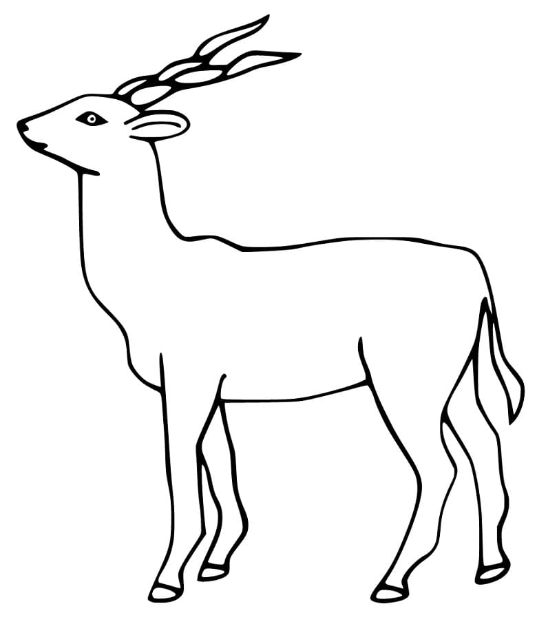 Lechwe Antelope Coloring Page - Free Printable Coloring Pages for Kids