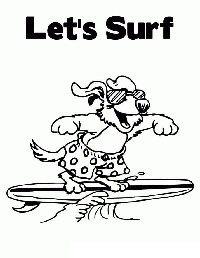 Let's Surf