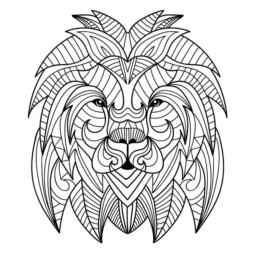 Lion Face For Adults