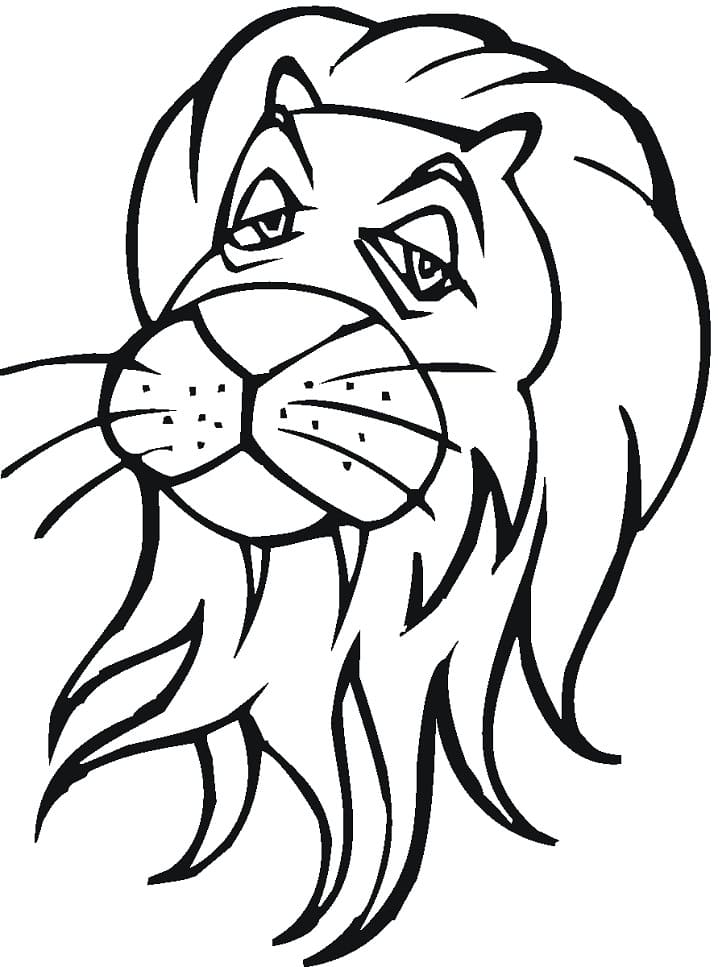 Lion Head 1