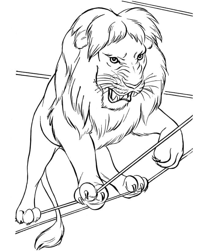 Lion on Rope